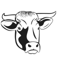 Carne de Wagyu
